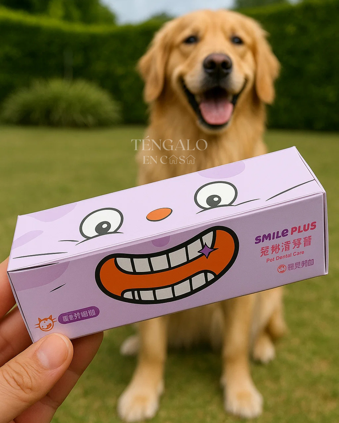 Cepillo de Dientes Blanqueador para Mascotas