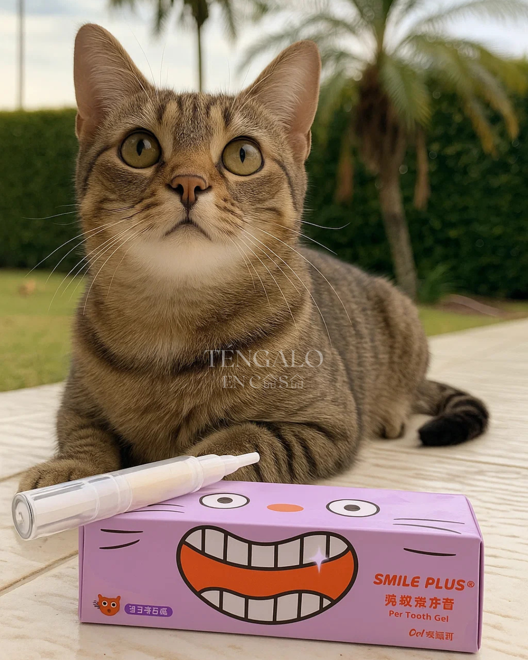 Cepillo de Dientes Blanqueador para Mascotas